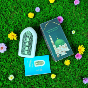 Plug In Quran Copy