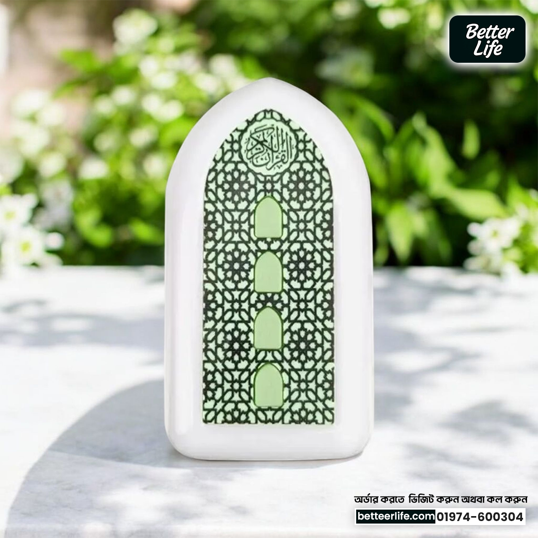 Plug-in-Quran-poster.png