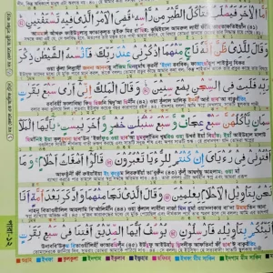 বিস্ময়কর কুরআন